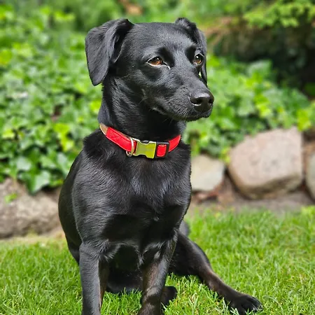 Hotell Marmulowski 3*