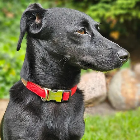 Marmulowski ホテル ベジヘロボ