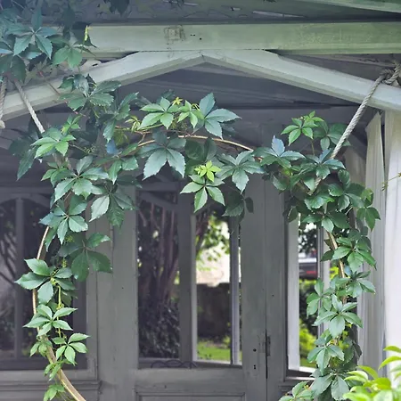 Marmulowski ホテル