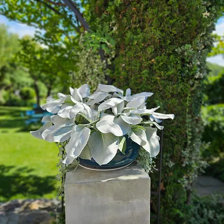 Marmulowski 3* Wejherowo