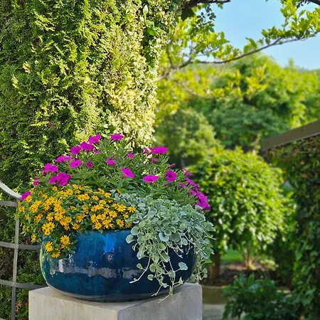 Marmulowski ホテル 3*