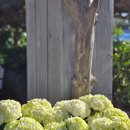 ホテル Marmulowski 3*