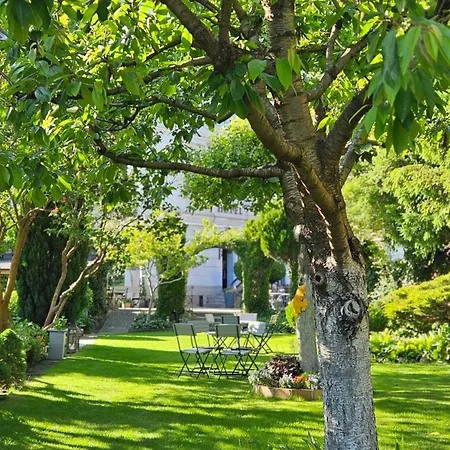 Marmulowski ベジヘロボ