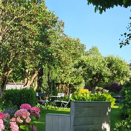 Marmulowski ベジヘロボ