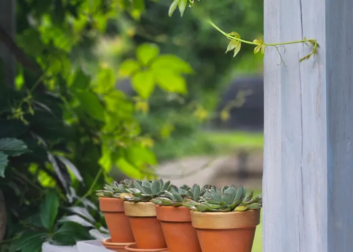 Marmulowski Wejherowo