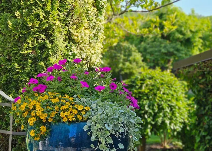 Marmulowski Hotel 3*